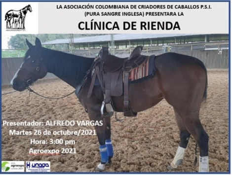 ClÃnica de Rienda